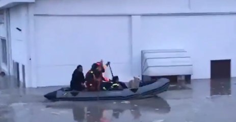 Italian Emergency Services Rescue Dog From Flooded Building
