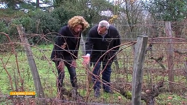 La Bonne Etape - Vignoble bio à Chinon