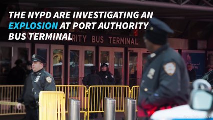N.Y.C. Port Authority attack labeled 'terror incident'