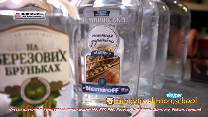 NEMIROFF - лабораторная посуда, чашка Петри и пробирка 2 в 1