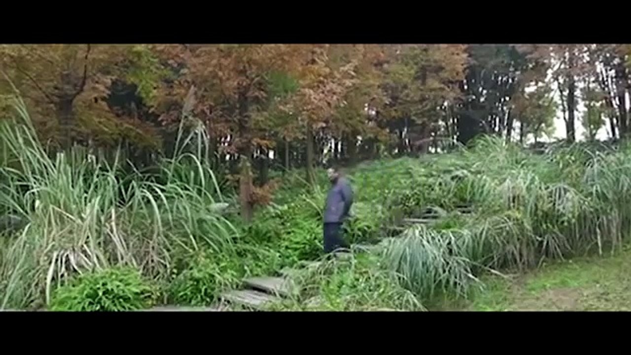 Fully Functional Quantum Invisibility Cloak