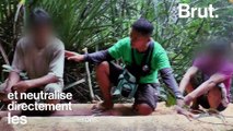 Aux Philippines, défendre les forêts c'est risquer sa vie