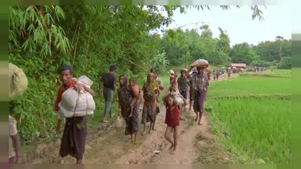 Several groups support claims of systematic rape of Rohingyas by Myanmar army
