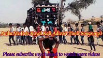 Aamba Me Bole Koyal Kali || Adivasi Timli Songs || best Gujarati shadi video songs.