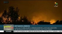 Incendios en California arrasan con más de 69,900 hectáreas