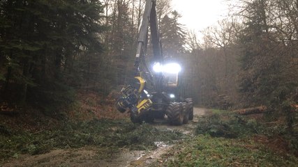 Intempéries : un arbre tombe sur la route forestière des
