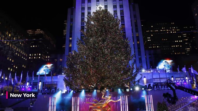 Les plus beaux sapins dans le monde