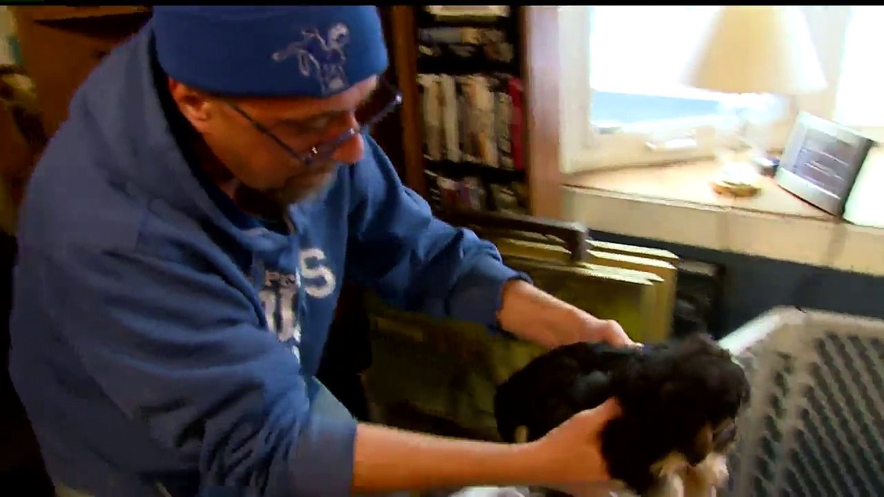 Family Targeted by Scammers After Posting Ad for Puppies on Craigslist