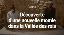 Egypte : une nouvelle momie découverte dans la Vallée des rois