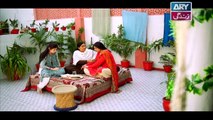 Mein Mehru Hoon Ep 13 - on ARY Zindagi in High Quality 11th December 2017