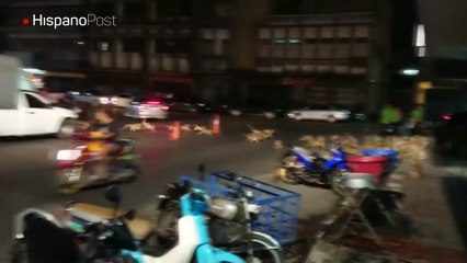 Miles de monos invadieron una ciudad tailandesa esta semana