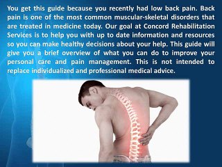 Guide to Understand Back Pain