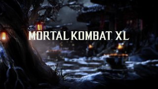 Mortal Kombat X_20171211153244