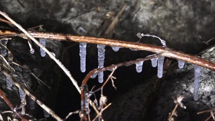 강원 첫 한파경보...주말 폭설 뒤 강추위 / YTN