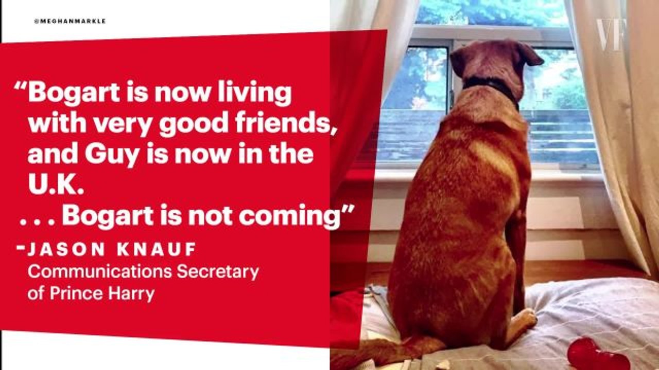 Meghan Markle is Moving to London, But Only One of Her Two Rescue Dogs Will Be Joining Her