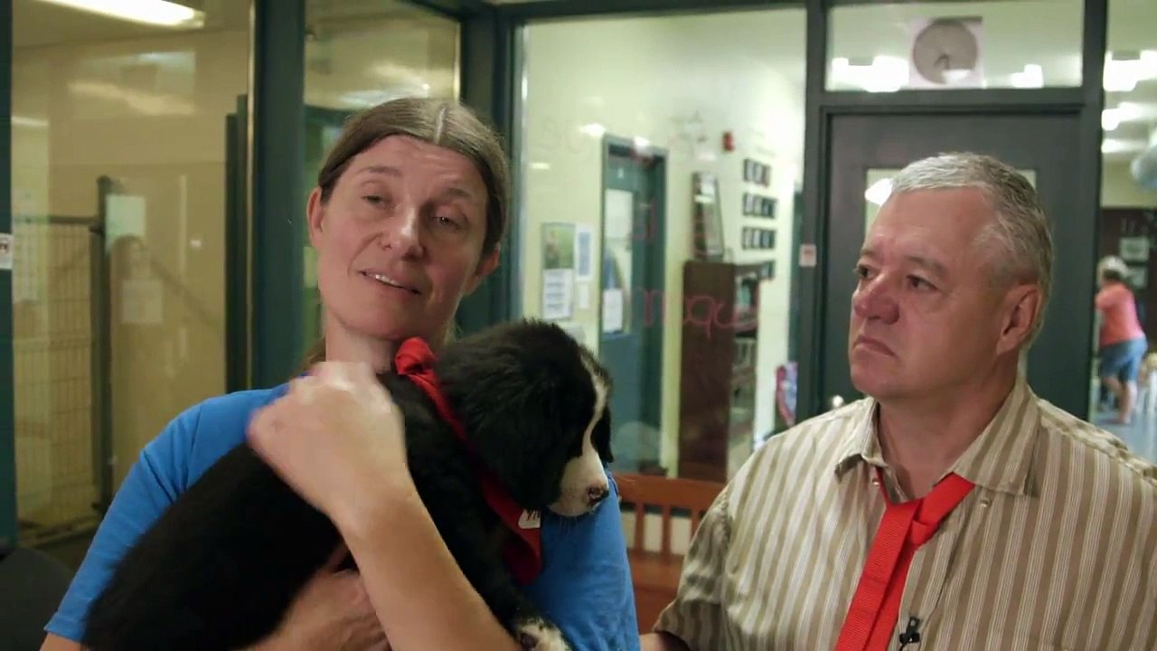 Docu-D - Mira, une histoire de coeur.¤ZombiE¤ (partie 1 de 2)