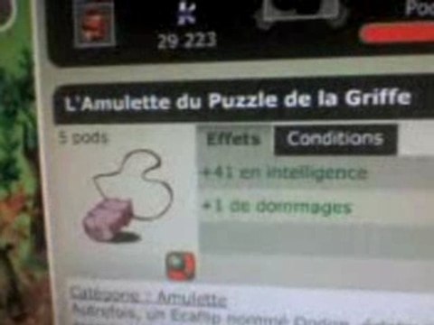 dofus // stats de mon xel lvl 49 shin