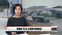 Highly pathogenic strain of avian influenza confirmed in Yeongam