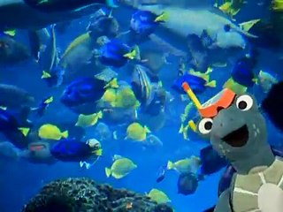 Baby Einstein 02 - Baby Neptune - Discovering Water 06-03mos