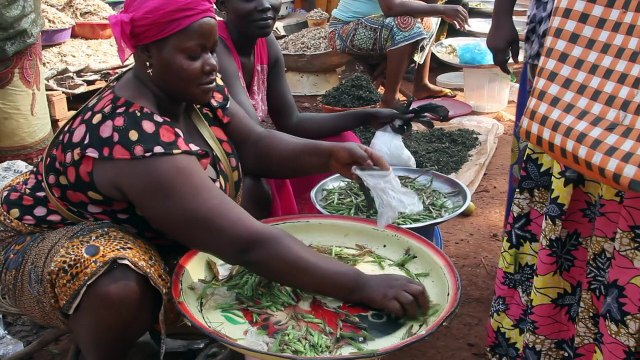 Central African Republicans serve up tasty cricket treat
