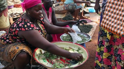 Central African Republicans serve up tasty cricket treat