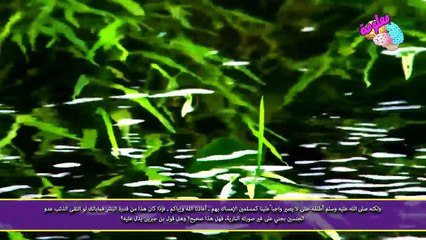 حقيقة خوف الجن من الذئاب - حقيقة مرعبة