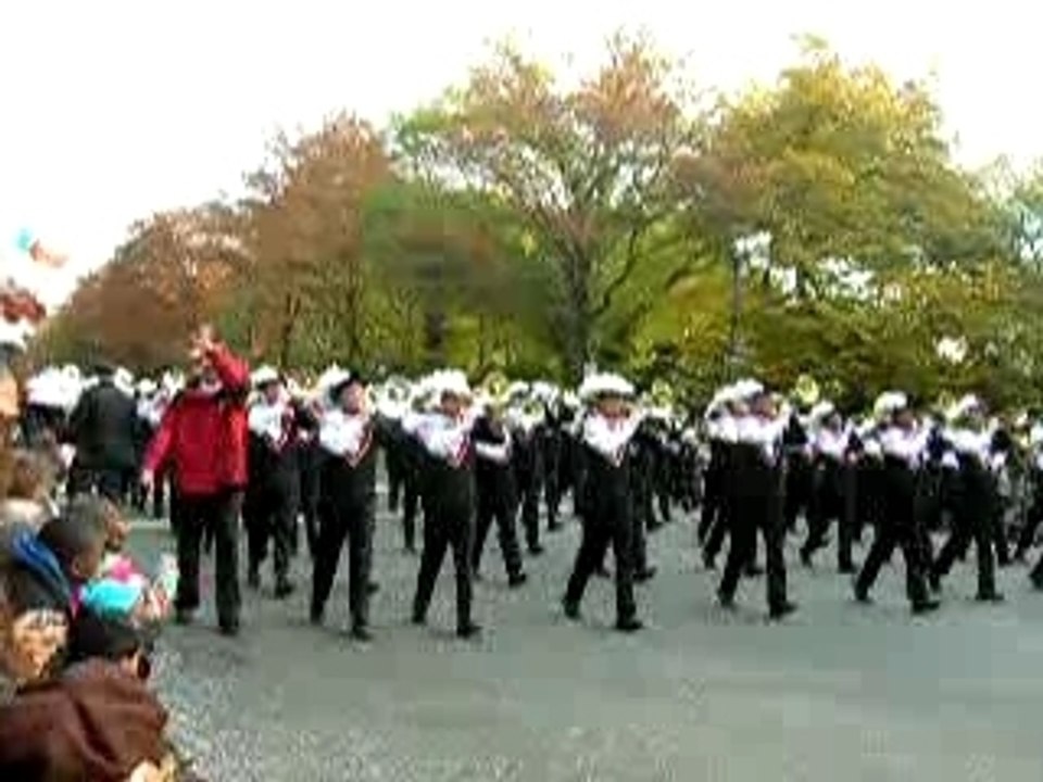 Paradekitty