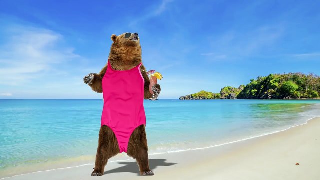 Why Do Animals Eat Each Other _ SCIENCE MYSTERIES REVEALED-vTFF-ls_5MI