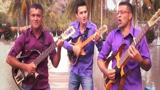 Musica Campesina - El Perezoso - Los Hermanos Ramirez Del Tesoro - Jesus Mendez Producciones
