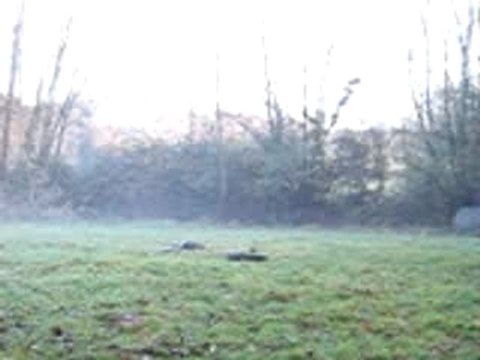 Polen barre au sol trot