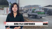 Highly pathogenic strain of avian influenza confirmed in Yeongam