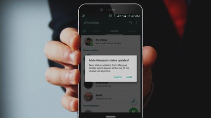 How to mute whatsap status of anyone? (Hindi)