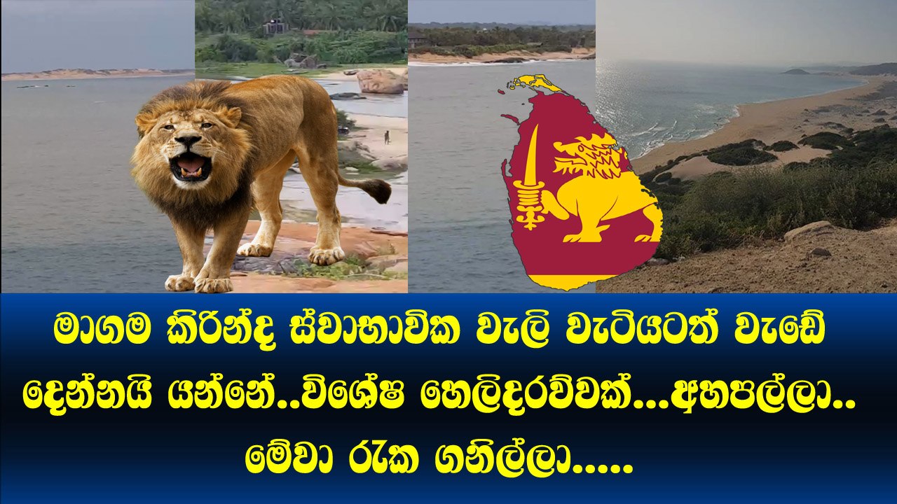 මාගම-කිරින්ද ස්වාභාවික වැලිවැටියටත් වැඩේ දෙන්නයි යන්නේ.. විශේෂ හෙළිදරව්වක්... අහපල්ලා.. මේවා රැක ගනිල්ලා