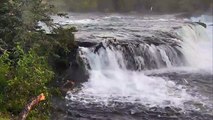 Bear Runs From Grazer - Katmai National Park - Live Cam Highlight-F1z0iu66HZo