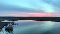 Bison Watering Hole Sunrise - Grasslands National Park - Live Cam Highlight-oWa0LZd7FGg