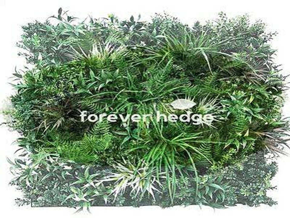Get Artificial Vertical Garden Wall