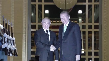 أردوغان وبوتين يبحثان العلاقات التركية الروسية