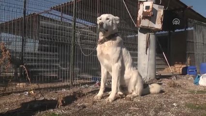 İstanbul'un Asayişi "Akbaş"Lardan Sorulacak
