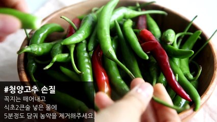 [기본소스] 청양고추청 만들기, 맛있는 매운맛을 원한다면 강추!-ZBRR9n2rUB4