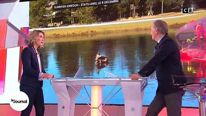 Comme une scène de Bambi, un faon, prisonnier de la glace fait le buzz - Regardez