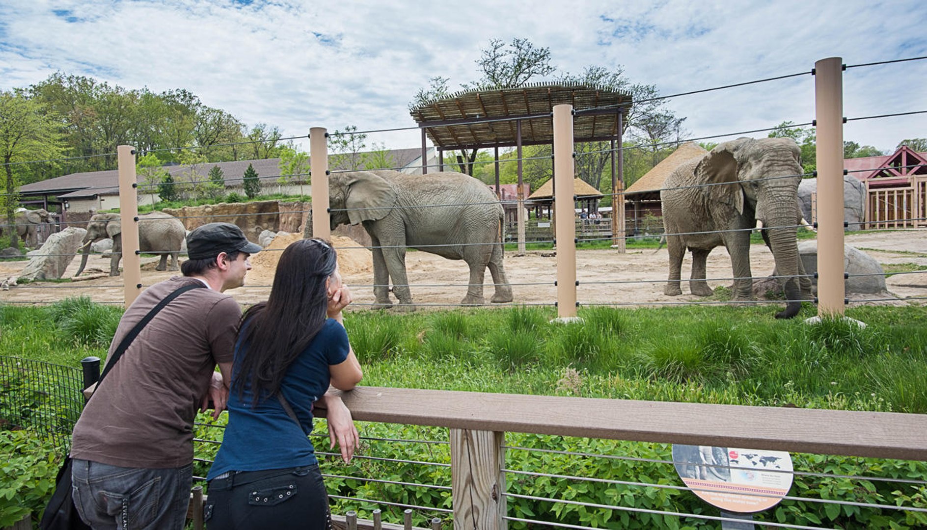 Le Plus Grand Zoo Du Monde