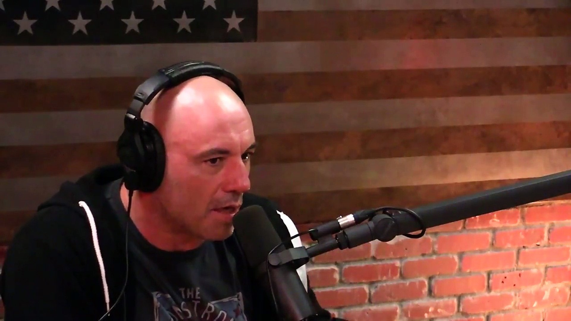 ⁣Joe Rogan on Police Brutality