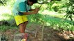 Creative Boy Makes Crocodile Trap Using Buckets & Net - How To Make Crocodile Trap Work 100%