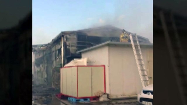 식료품 가공 공장에서 불...직원 1명 다쳐 / YTN