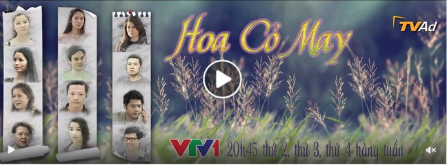 Hoa cỏ may Phần 3 tập 26  trailer - Hoa co may 26