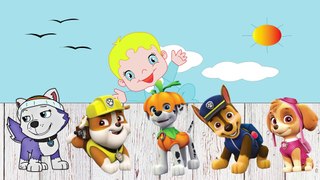 PAW PATROL colors finger family song Nursery Rhymes & color Gummy  baby smile