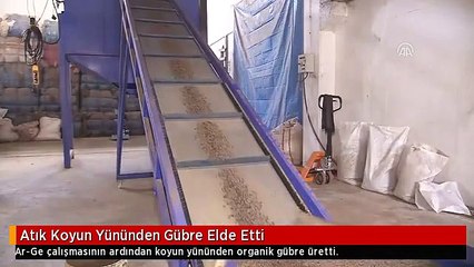 Atık Koyun Yününden Gübre Elde Etti