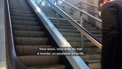 On vous explique pourquoi c'est bizarre de monter un escalator à l’arrêt