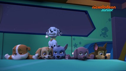 Paw Patrol : la Pat'Patrouille | Le Robo-saure | NICKELODEON JUNIOR
