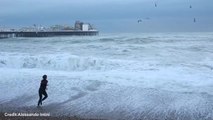 Woman Risks Her Life Diving Into Storm Sea To Save Drowning Dog